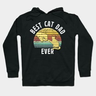 Best Cat Dad Ever Fathers Day Retro Sun Cats Lovers Hoodie